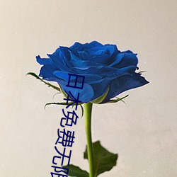 日本免费无限吗2020