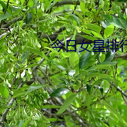 今日女星(xīng)排行(xíng)榜(bǎng)