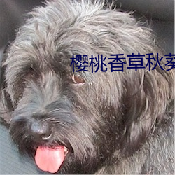 米乐M6·(中国)官方网站