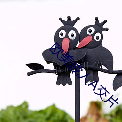 欧美成(成)人A交片(片)