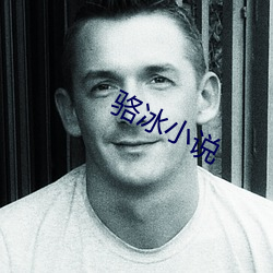 骆冰小说