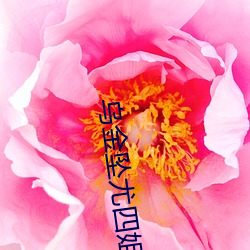 AG真人平台(中国)官方网站