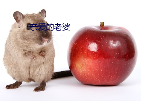 鸿运国际·(中国)会员登录入口