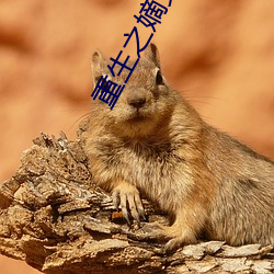 AG真人平台(中国)官方网站