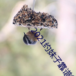 2021约妹子靠谱的软(軟)件(件)