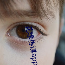 918博天堂·(中国)手机版客户端