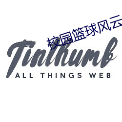 校园(yuán)篮(lán)球风云