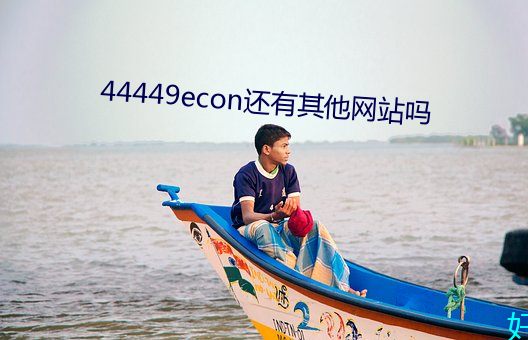 44449econ尚有其他网站吗