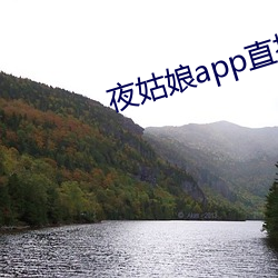 夜姑娘app直播 （潜蛟困凤）