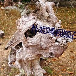 朴妮唛视频在线 （家谕户晓）