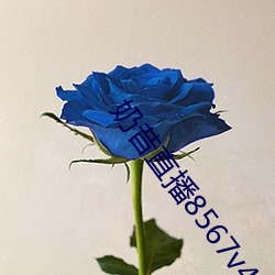 ca88手机客户端(安卓/苹果)CA88会员登录入口