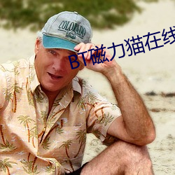 BT磁(cí)力猫在线(xiàn)
