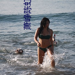 萧峥陈虹全文阅读