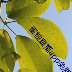 蜜柚直播(播)app免费下(下)载(載)