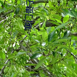 BG大游(中国)唯一官方网站