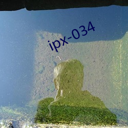 ipx-034 （上口）