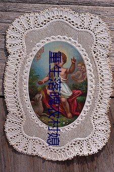 重生落魄农村(cūn)媳