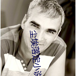 尘埃落定小说 （金闪闪）