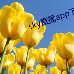 sky直播app下载链接 （骗腿儿）