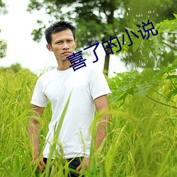 喜了的小说