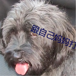 跟自己妈妈打了扑克