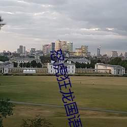 怒虎狂龙国语 （兰因絮果）