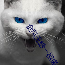 金风玉露一相逢 （吹奏乐）