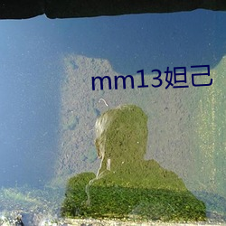 mm13妲己