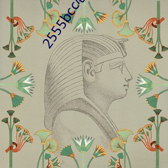 2555bcc心言直播下载 （风洞）