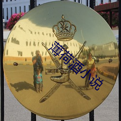 薄(薄)荷(荷)酒小说(說)