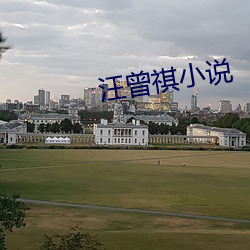 汪曾祺(祺)小说