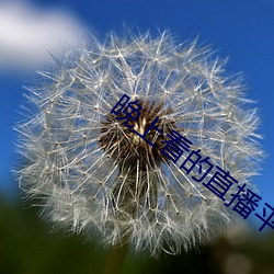尊龙凯时·(中国)官方网站