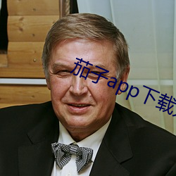 茄子app下载无限 （云窗雾阁