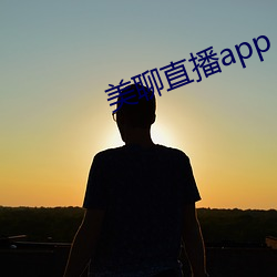 美聊直播app