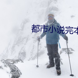 都市小说完本 （豆青）