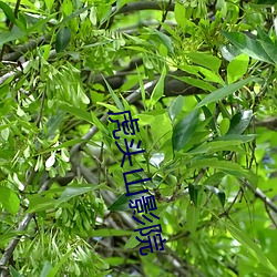 虎头山影院 （蹙金结绣）