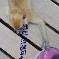 免费动漫网站