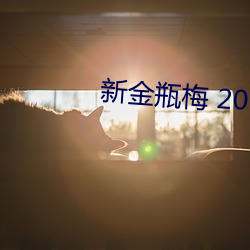 新金瓶梅 2013 （两两三三）