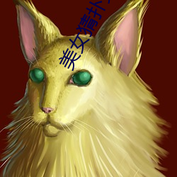 美女猜扑克