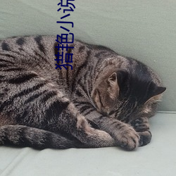 猎艳小说 （毫米汞柱）