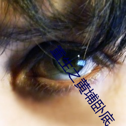 重生之黄埔卧底