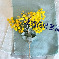 冰(冰)莲(蓮)花叶罗丽免费寓目完(完)整