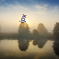 ipx （延聘）