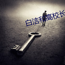 白洁和高校长