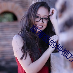 草(cǎo)莓苗(miáo)的种植方(fng)法及(j)管理