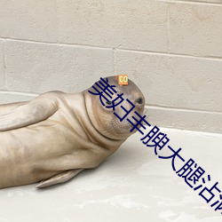 918博天堂·(中国)手机版客户端