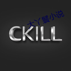 大丫鬟小说