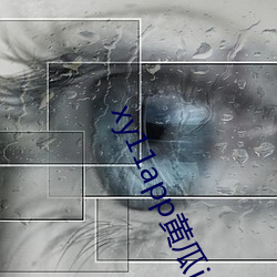 xy11app黄(黃)瓜ios