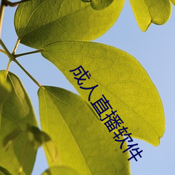 九游会登录j9入口 - 中国官方网站 | 真人游戏第一品牌