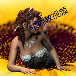 sp调教视频